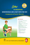 NewAge Golden English Workbook for Class VI